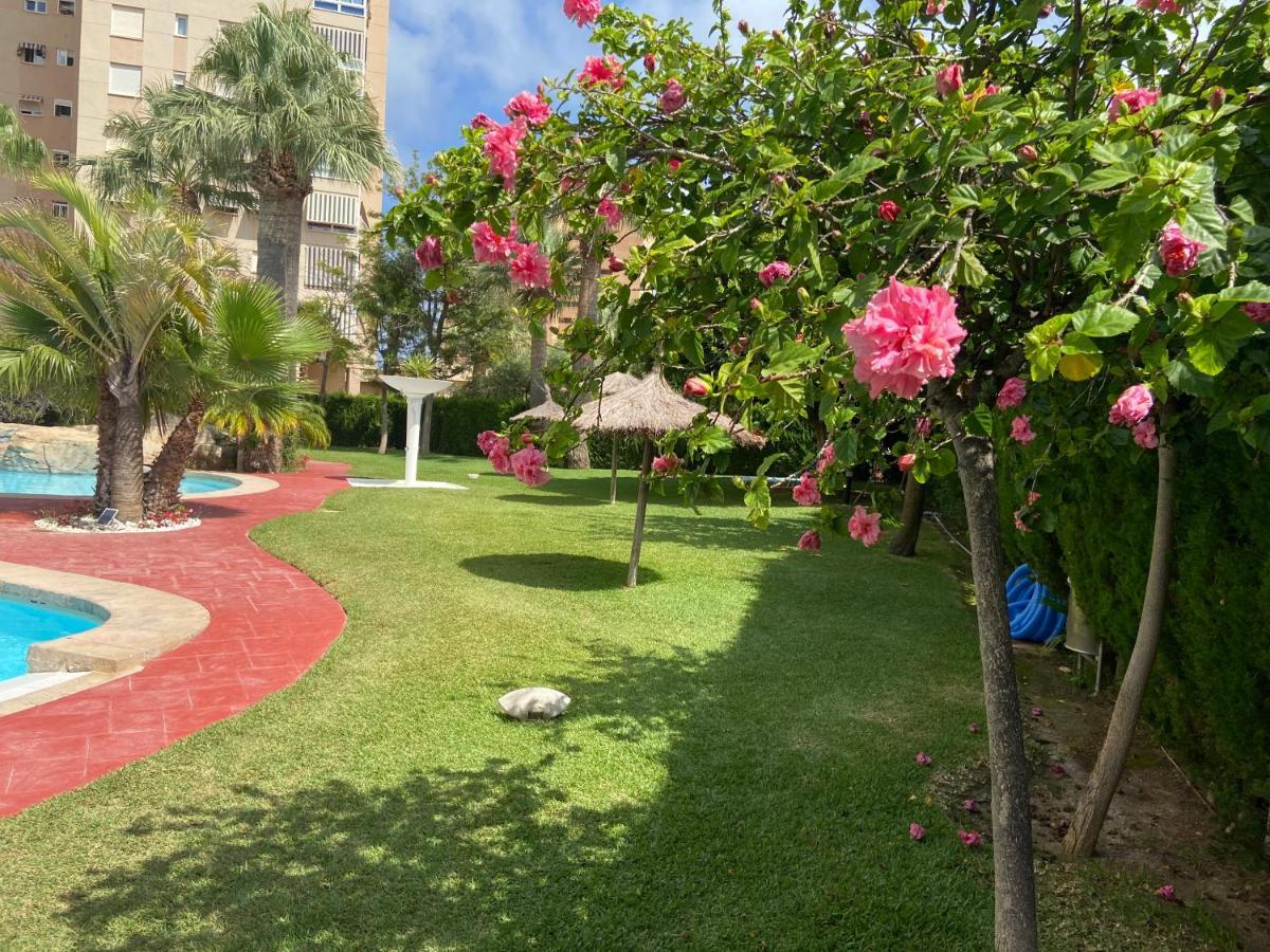 Alicante Apartamento En La Playa Muchavista-San Juan - Marluma Frente Al Mar La Venteta Exteriér fotografie
